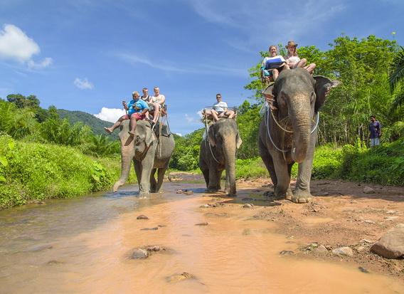 Khao Sok Jungle Safari Tour 4