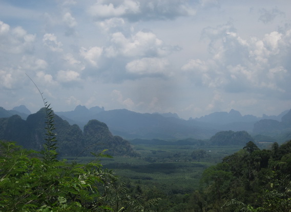 Khao Sok Jungle Safari Tour 5