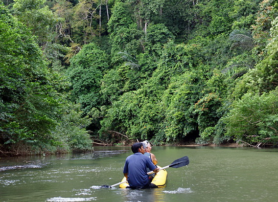 Khao Sok Jungle Safari Tour 7