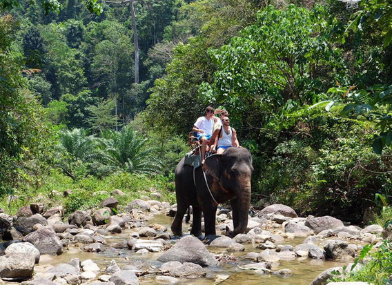Khao Sok Lake Safari Tour 2
